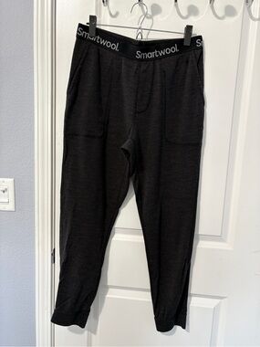Smartwool Merino 250 Jogger Pants Mens Size Medium
